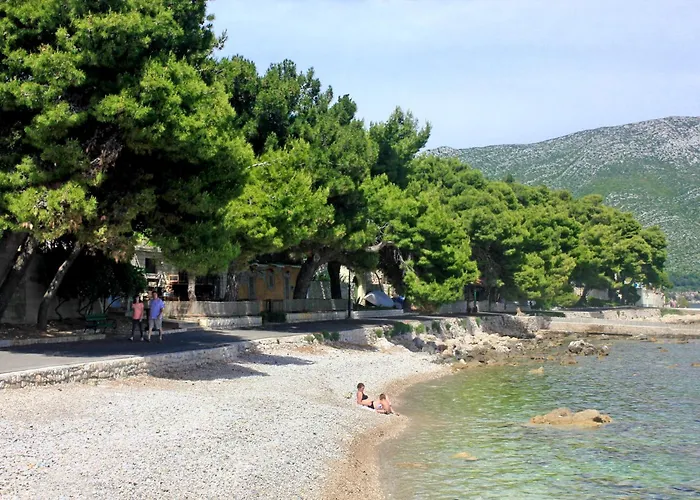 With Parking Space - Peljesac - 22379 Apartment Orebic